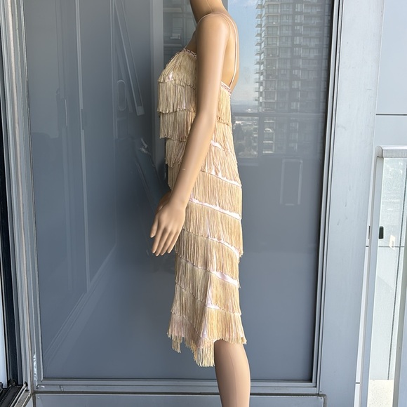 Vintage Fringe Flapper Girl Dress - Picture 5 of 14